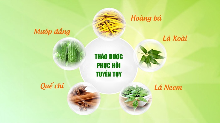 phục hồi chức năng tuyến tuỵ 