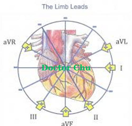 Điện tâm đồ cơ bản: Cách tính góc alpha, trục điện tim và tần số tim theo hướng dẫn của Dotor CHu